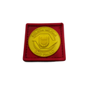 PATCH EMBORRACHADO LÁUREAS PMESP